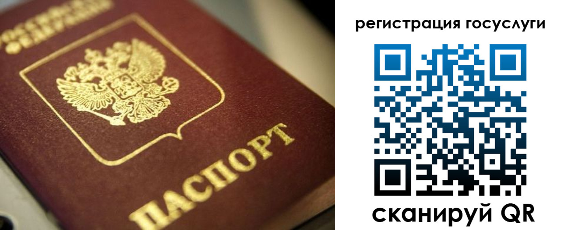 временная регистрация поиск в Королёве